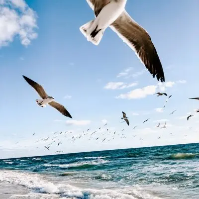 Useful Information About Sail Turkey Tours