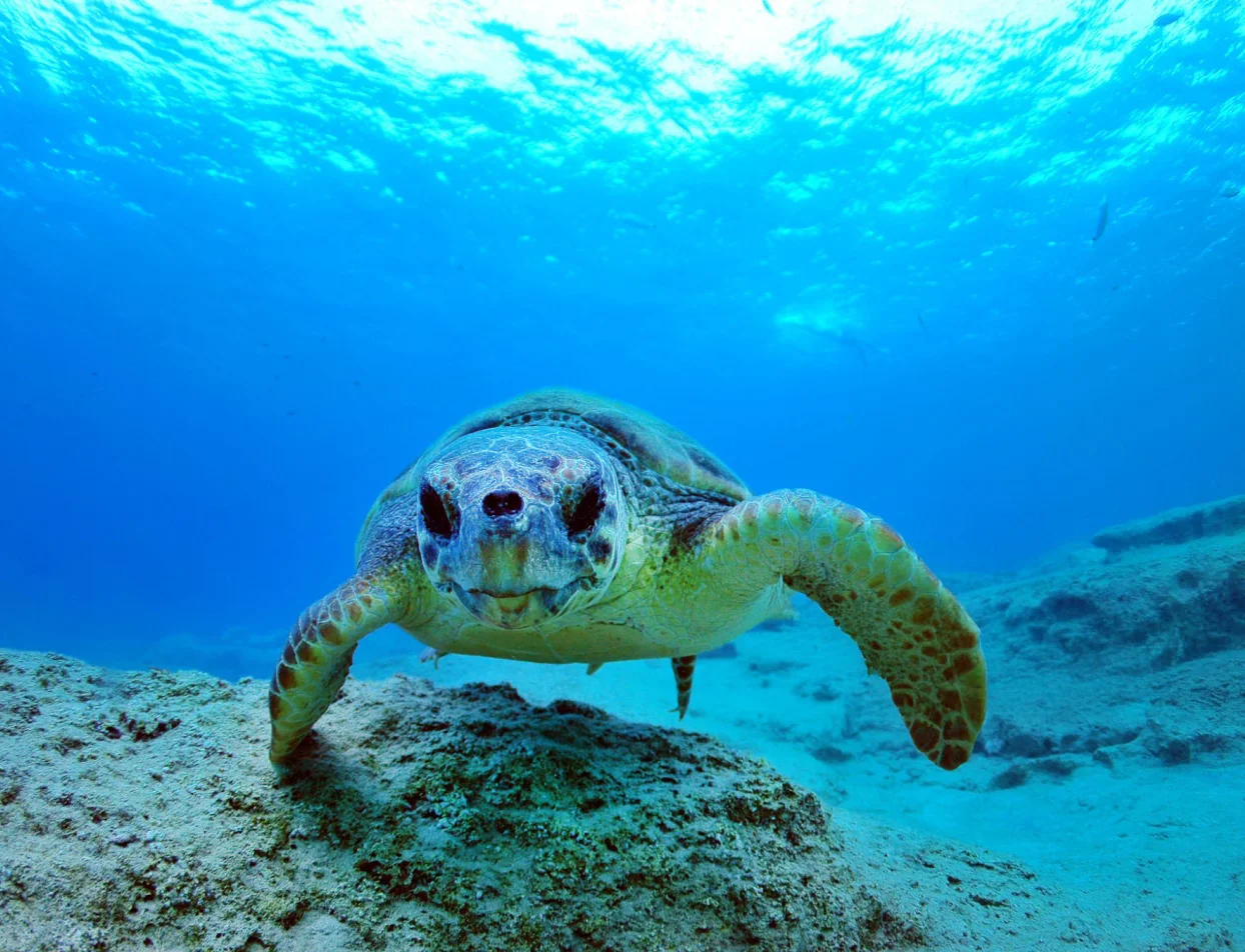 Sailing the Turquoise Coast: Our Commitment to Sustainable Travel in Turkey