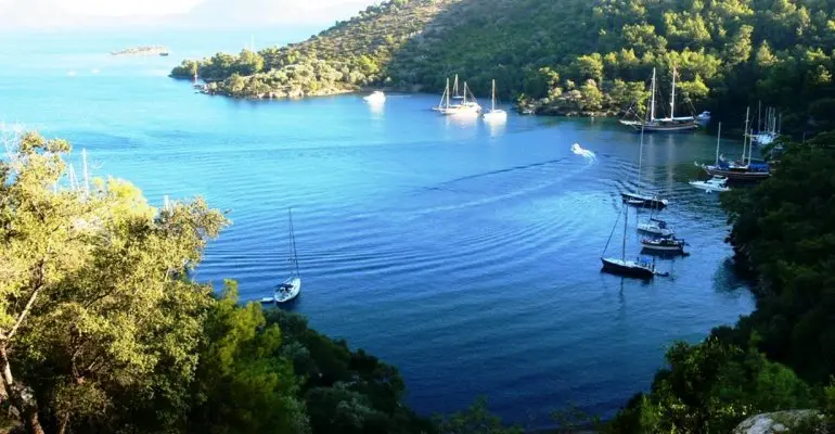 Gocek